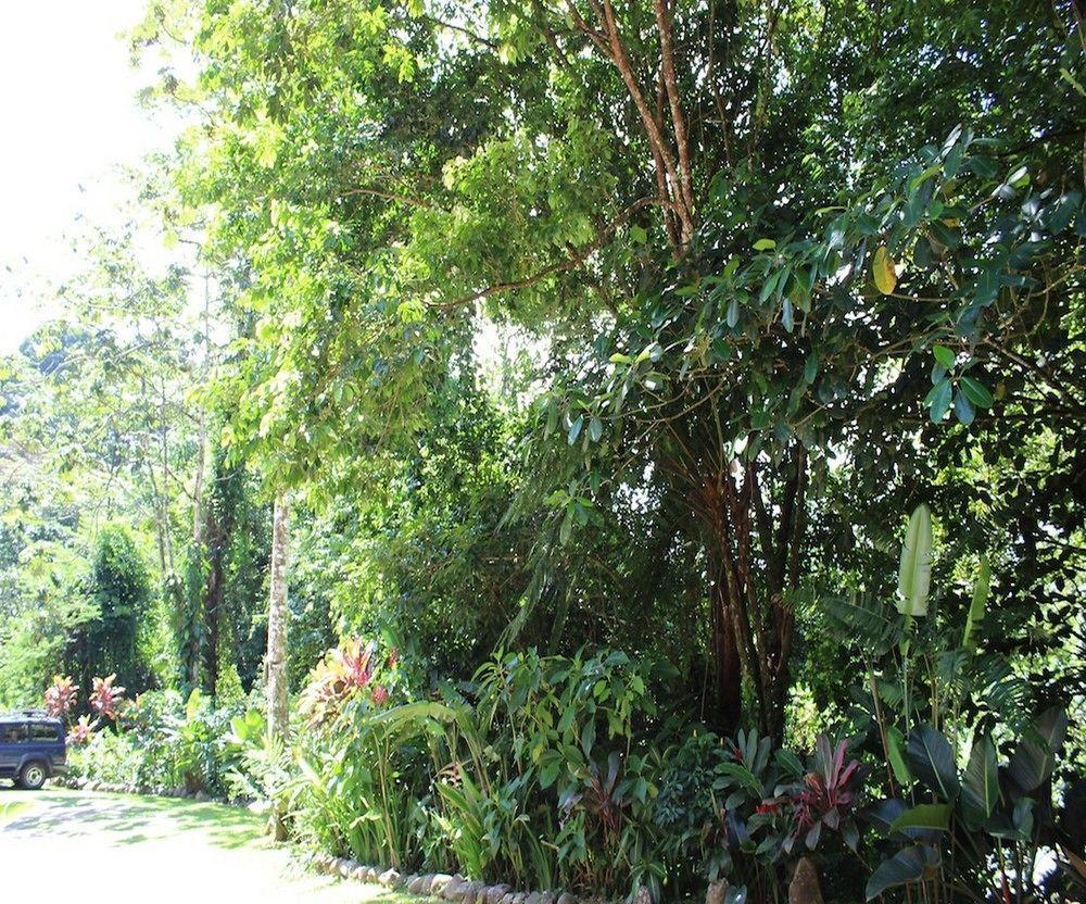 Agua Inn Nuevo Arenal Esterno foto