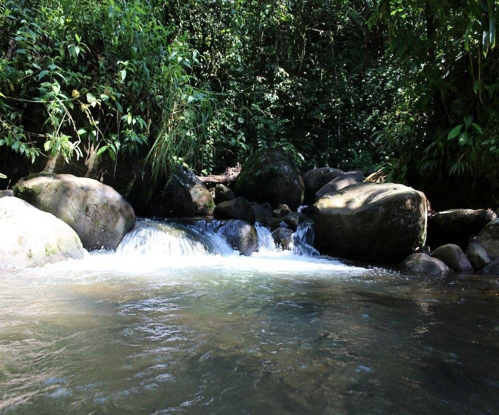 Agua Inn Nuevo Arenal Esterno foto
