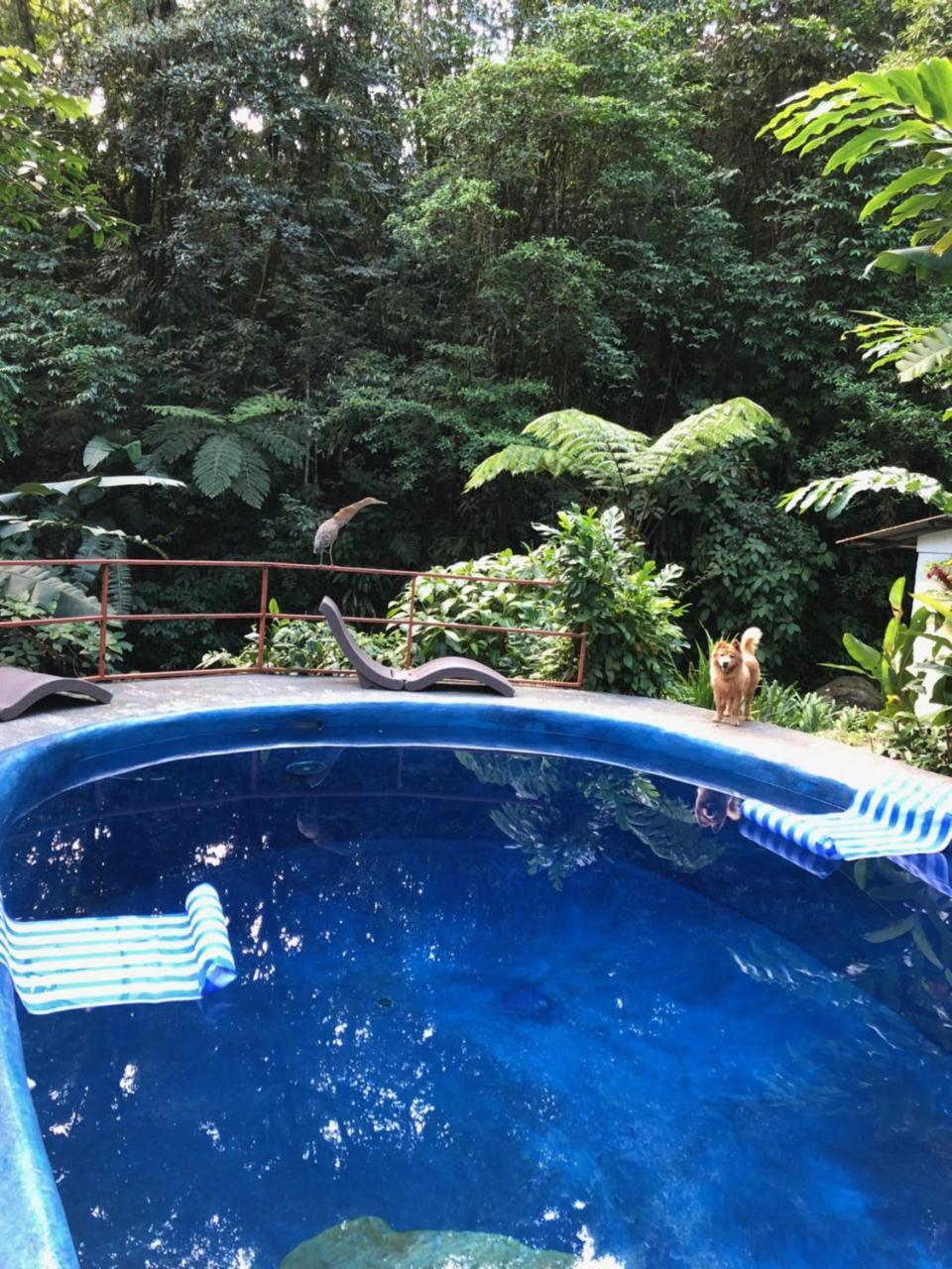 Agua Inn Nuevo Arenal Esterno foto