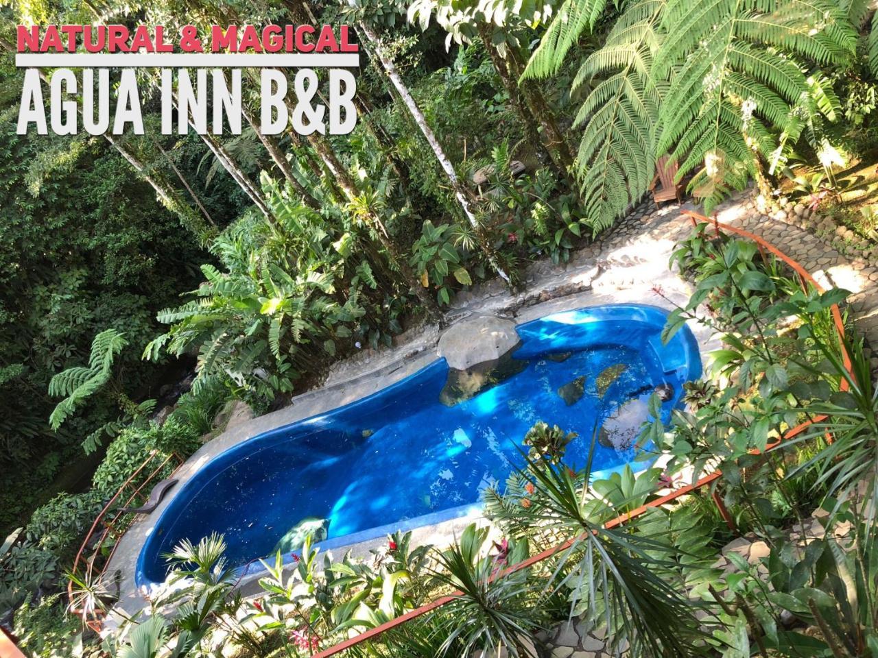 Agua Inn Nuevo Arenal Esterno foto