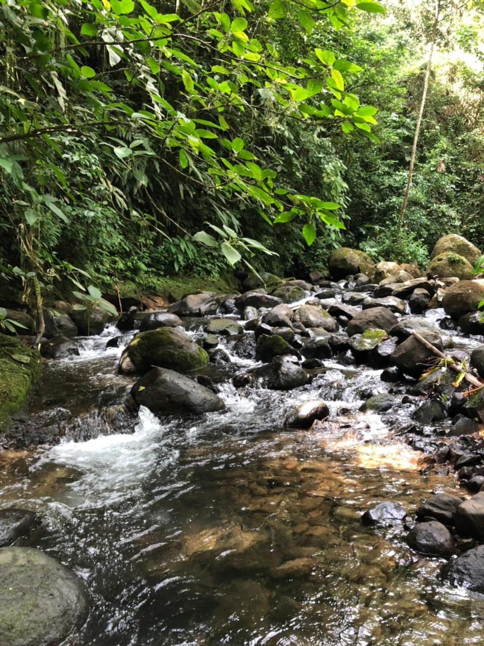 Agua Inn Nuevo Arenal Esterno foto